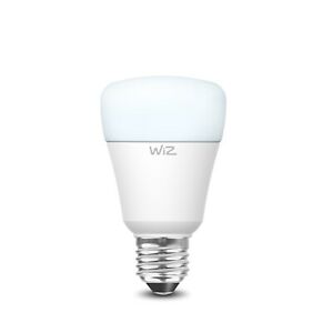 Daylight A60 Screw E27 Smart Bulb
