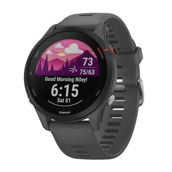 Watch Garmin Forerunner 255 GPS 33mm Graphite Band - Slate Black