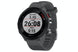 Forerunner 55, GPS, EU, Monterra Grey