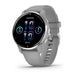 Garmin Venu 2 Plus, Powder Gray and Passivated