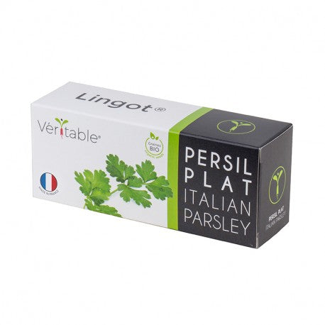 Lingot Italian Parsley - Organic