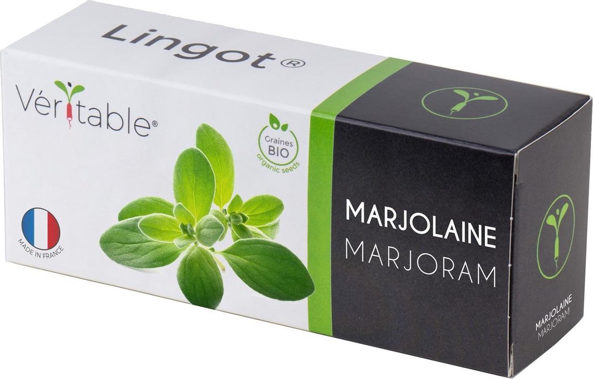 Lingot Marjoram - Organic