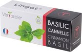 Lingot Cinnamon Basil - Organic