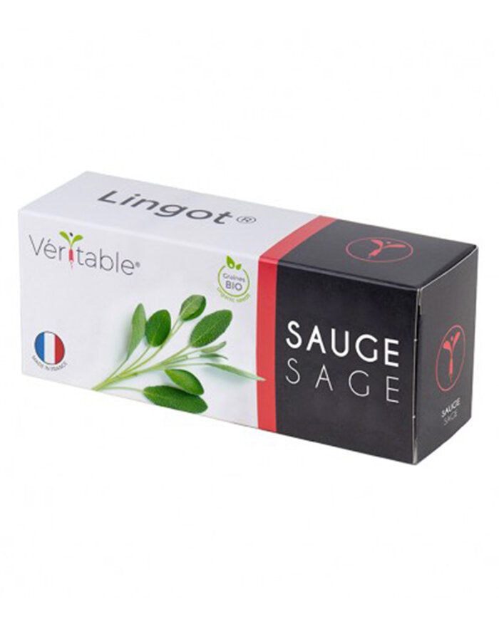 Lingot Sage - Organic