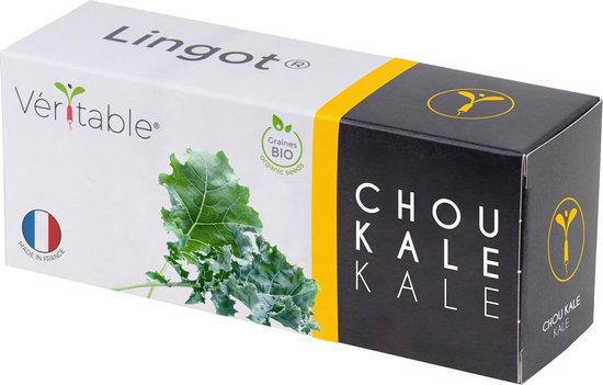 Lingot Kale - Organic