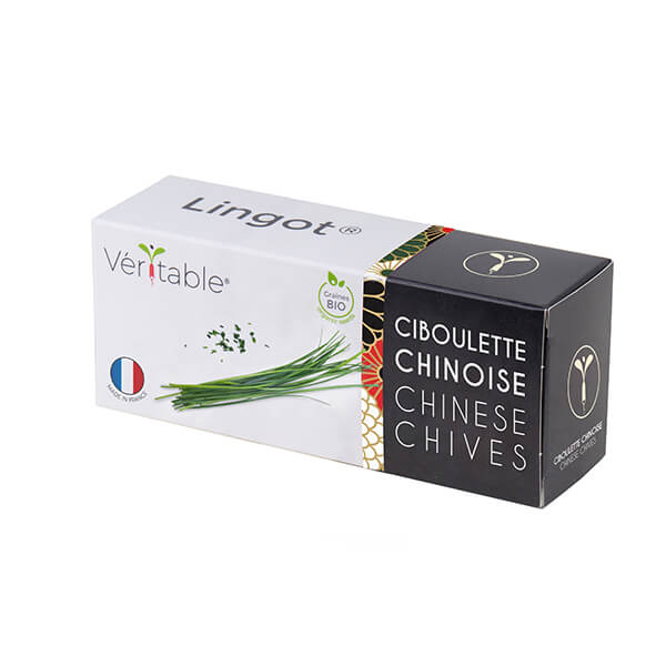 LingotChinese chives  - Organic