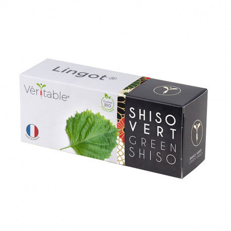 Lingot Green Shiso - Organic