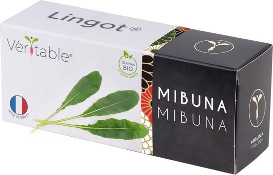 Lingot Mibuna - Organic