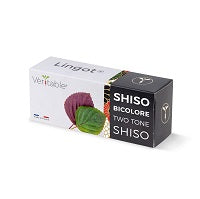 Lingot Bi Color Shiso