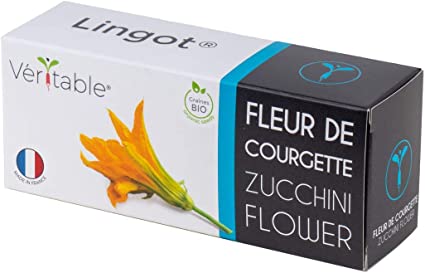 Lingot  Zucchini Flowers - Organic