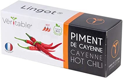 Lingot Cayenne hot chili