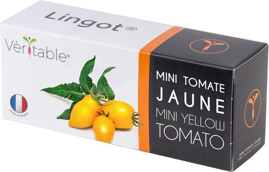 Lingot Yellow Mini-Tomato