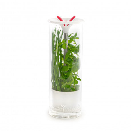 Veritable Glass Herb Keeper