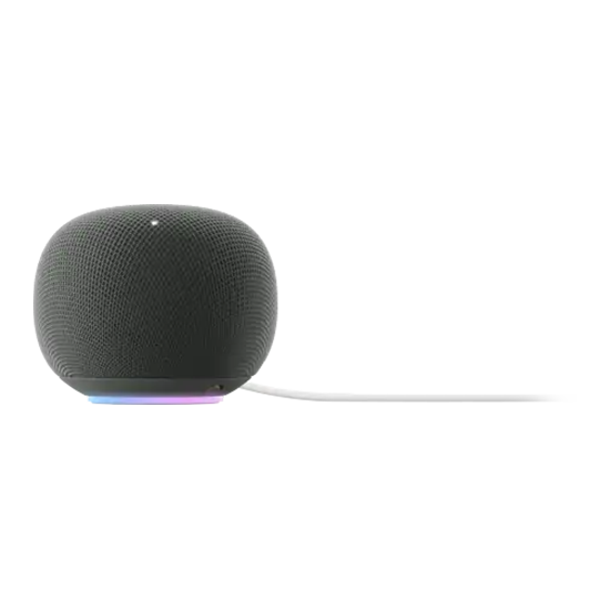 Google Home Speaker - Hazel