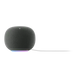 Google Home Speaker - Hazel