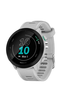 Garmin Forerunner 55 White, 010-02562-11